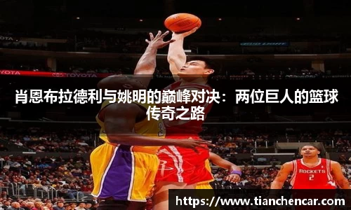 肖恩布拉德利与姚明的巅峰对决：两位巨人的篮球传奇之路